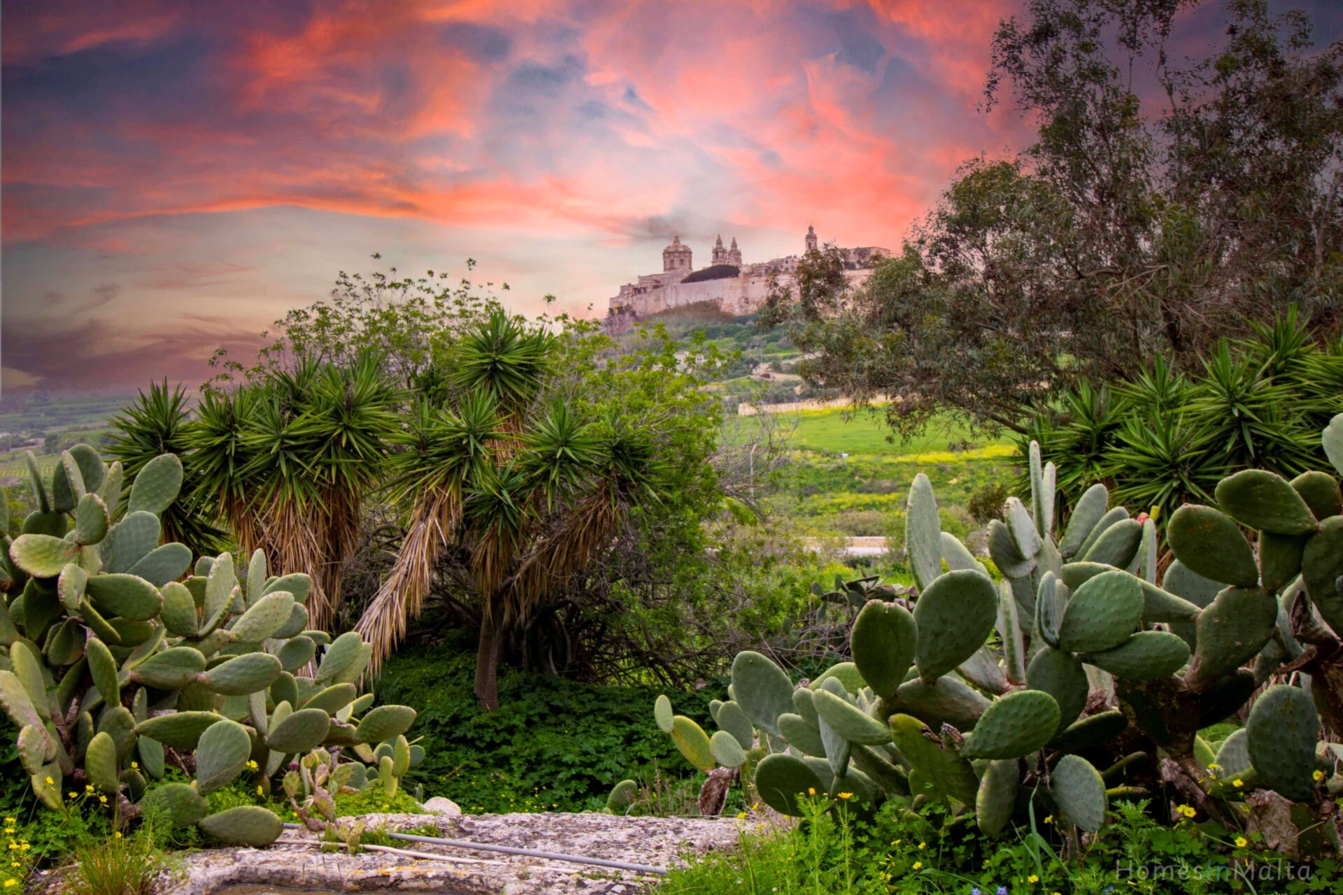 Rabat Farmhouse (28)